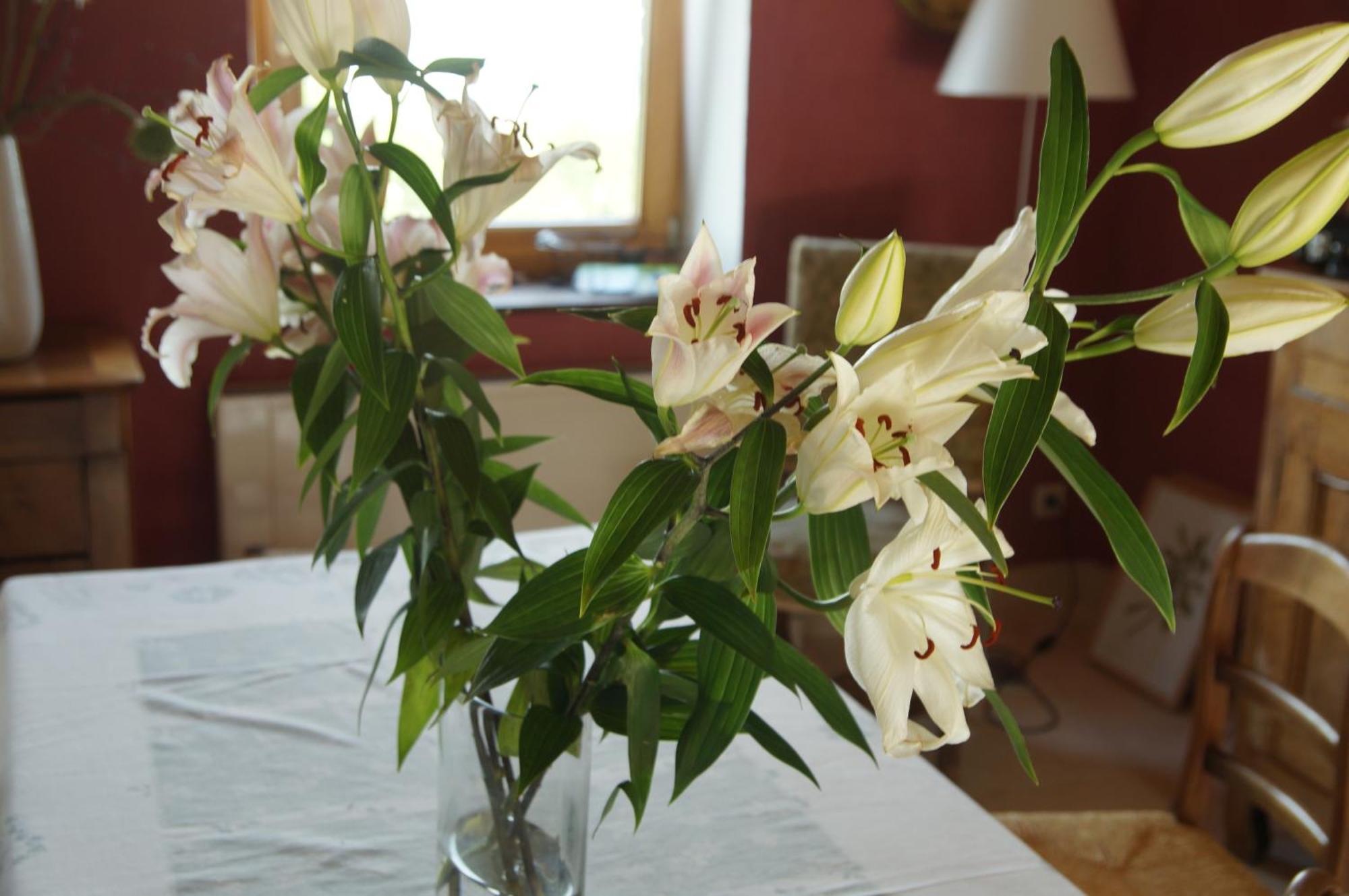 Le Grand Noe Bed and Breakfast Roisey Kamer foto