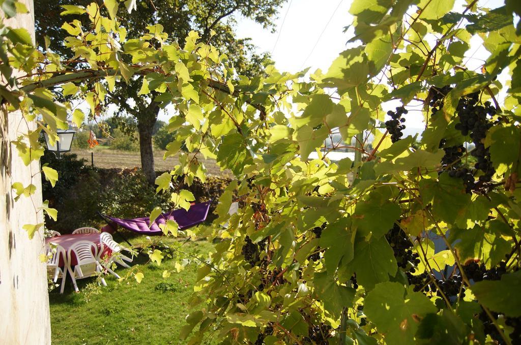 Le Grand Noe Bed and Breakfast Roisey Buitenkant foto