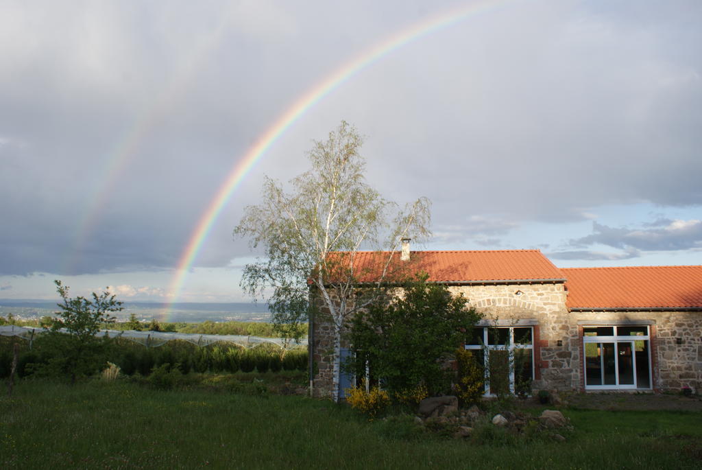 Le Grand Noe Bed and Breakfast Roisey Buitenkant foto